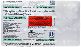 Justoza GM 2 Forte Tablet 10