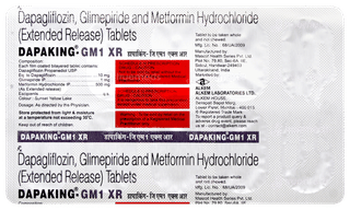 Dapaking GM 1 Xr Tablet 10