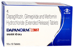 Dapanorm GM 2 Tablet 10