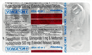 Voage Gm 1 Tablet 10