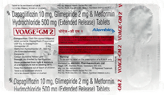 Voage Gm 2 Tablet 10 Voage Gm 2 Tablet 10