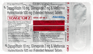 Voage Gm 2 Tablet 10