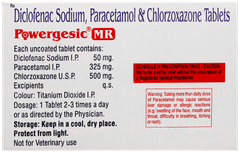 Powergesic Mr Tablet 10