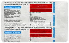 Tenelidib M 500 Sr Tablet 10 Tenelidib M 500 Sr Tablet 10