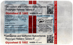 Glycoheal G 1002 Tablet 10 Glycoheal G 1002 Tablet 10