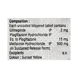 Dailymet Gp2 Tablet 10