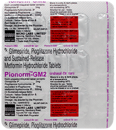 Pionorm Gm2 Tablet 15 Pionorm Gm2 Tablet 15