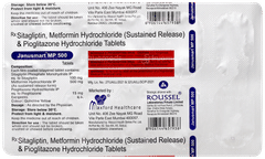 Janusmart Mp 500 Tablet 10