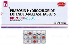 Biozocin 2.5 Xl Tablet 15