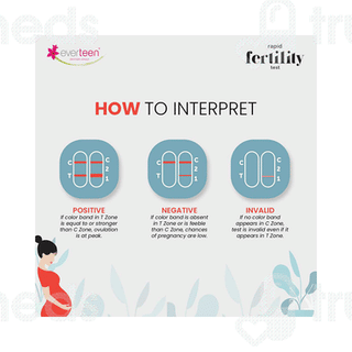 Everteen Rapid Fertility Testkit 1
