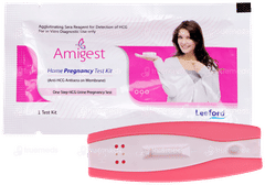 Amigest Pregnancy Test Kit 1 Amigest Pregnancy Test Kit 1