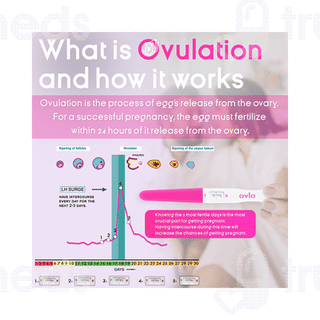 Ovlo Ovulation Test Kit 5