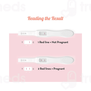 Plush Preg Oh! Midstream Pregnancy Test Kit 3