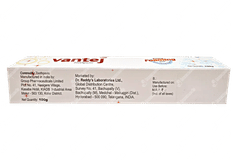 Vantej Extra Foaming Refreshing Flavour Toothpaste 100gm