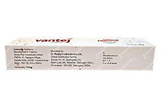 Vantej Toothpaste 100 GM