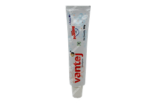 Vantej Toothpaste 50 GM