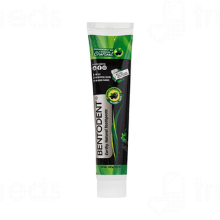 Bentodent Earthy Natural Premium Mint With Activated Charcoal Toothpaste 100 Gm
