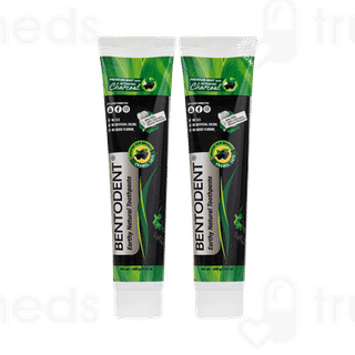 Bentodent Earthy Natural Premium Mint With Activated Charcoal Toothpaste 100 Gm