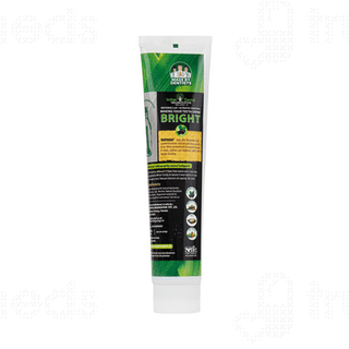 Bentodent Earthy Natural Premium Mint With Activated Charcoal Toothpaste 100 Gm