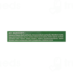 Sbl Homeodent Neem Plus Tooth Paste 100gm