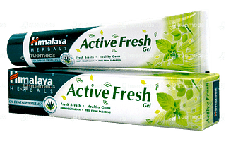 Himalaya Active Fresh Gel Saunf And Mint Toothpaste 80 GM