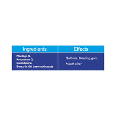 Fourrts Gum Forte Gel Homoeopathic Toothpaste Gel 100 GM