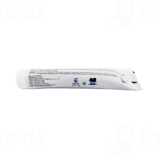 Lords Lordent Toothpaste 100 Gm