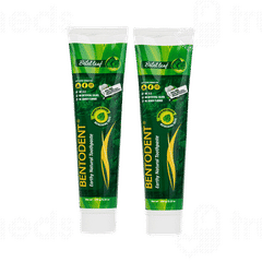 Bentodent Earthy Natural Betel Leaf Toothpaste 100 Gm