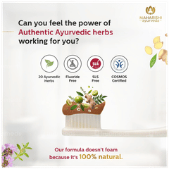 Maharishi Ayurveda Ayurdent Classic Herbal Toothpaste 75ml