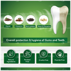 Sri Sri Tattva Sudanta Toothpaste 100Gm With Bamboo Toothbrush Free