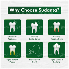 Sri Sri Tattva Sudanta Toothpaste 100Gm With Bamboo Toothbrush Free