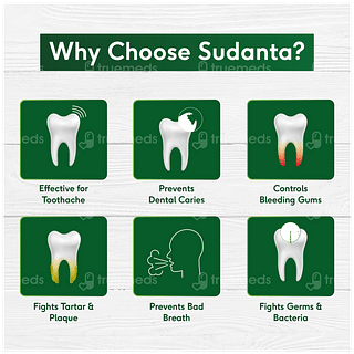 Sri Sri Tattva Sudanta Toothpaste 100gm With Bamboo Toothbrush Free