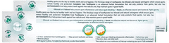 Himalaya Complete Care 150Gm Pack Of 2 Toothpaste