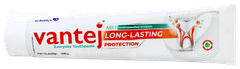 Vantej Long Lasting Protection Toothpaste 100gm