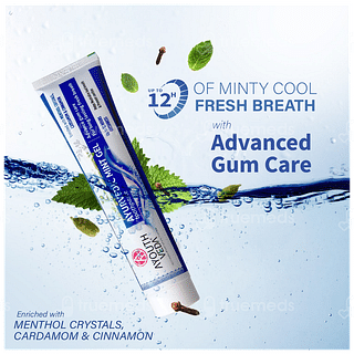 Ayouthveda Ayurvedic Mint Gel Toothpaste 100gm