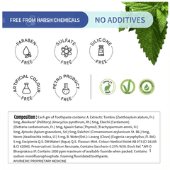 Ayouthveda Ayurvedic Mint Gel Toothpaste 100gm