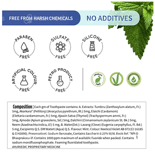 Ayouthveda Ayurvedic Mint Gel Toothpaste 100gm