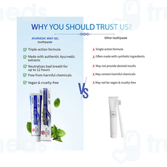 Ayouthveda Ayurvedic Mint Gel Toothpaste 100gm