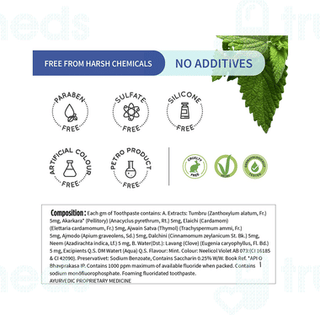 Ayouthveda Ayurvedic Mint Gel Toothpaste 100gm