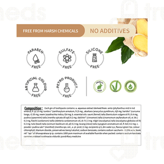 Ayouthveda Ayurvedic Total Care 360 Toothpaste 100Gm