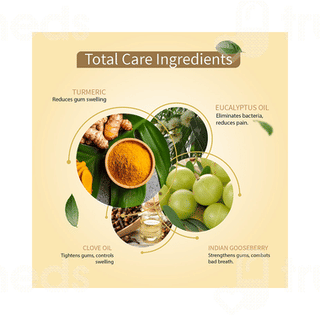Ayouthveda Ayurvedic Total Care 360 Toothpaste 100Gm