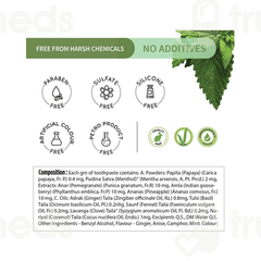 Ayouthveda Ayurvedic Natural Whitening Toothpaste 100Gm