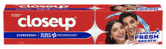 Closeup Everfresh+ New Zinc Fresh ++++ Toothpaste 80Gm