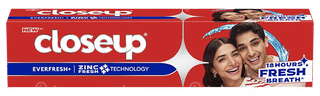 Closeup Everfresh+ New Zinc Fresh ++++ Toothpaste 80Gm