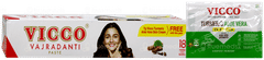 Vicco Vajradanti Toothpaste 100gm With Vicco Turmeric Aloe Vera Skin Cream 7gm Free