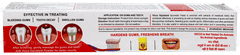 Vicco Vajradanti Toothpaste 100gm With Vicco Turmeric Aloe Vera Skin Cream 7gm Free