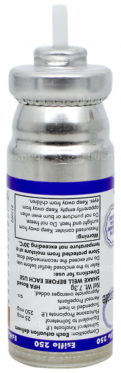 Esiflo 250 Transhaler 120mdi Esiflo 250 Transhaler 120mdi