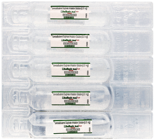 Salbair Neb 0.31 2.5ml Pack Of 5 Transpules