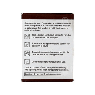 Budate Forte Transpules 2Ml