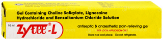 Zytee L Gel 10ml